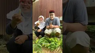 Suka Makan Tebu Waktu Kecil
