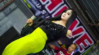 ACA ACA NEHI NEHI ( Koplo Soso Hoha ) ~ INDAH PUDICA ~ D'CHEVE Music  // Happy Party  KAESAR 2022