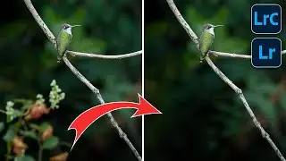 How to Remove ANYTHING in Lightroom