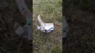 Сколько у меня драконов?💚❤