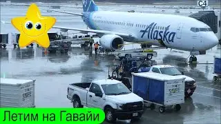 Из зимы в лето Летим на Гавайи
