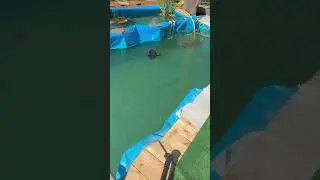 В пруду железо выпало в осадок
