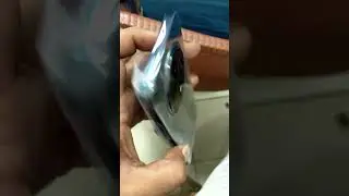 Oppo Reno 12F #short #oppo