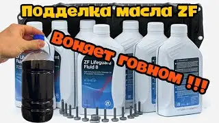 ПОДДЕЛКА МАСЛА ZF ДЛЯ BMW / КОРОБКУ В МУСОРКУ / MOTUL DRIVE / КАК ПОПАСТЬ НА ДЕНЬГИ