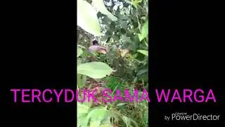 TERCYUK LAGI MESUM DI HITAN