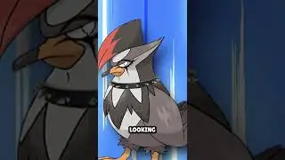 Pokémon moves that make no sense 🤔