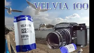 Fuji Velvia RVP100 (220) | 富士 rvp100 青岛雪中街拍 2020.12.28