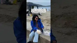 Seagulls in the UK
