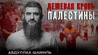 Дешёвая кровь Палестины будет стоить дорого | Абдуллах Шамиль