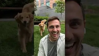 The first dog selfie 📸