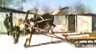 Driving different horses in a sleigh