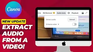 How to Extract Audio from Video in Canva (Canva NEW UPDATE!) - 2025
