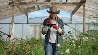 Beautiful Woman Florist Walks Through the Greenhouse with a Tablet Computer Checks the Grown Roses