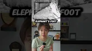 How long can you survive next to the Elephant's Foot? 