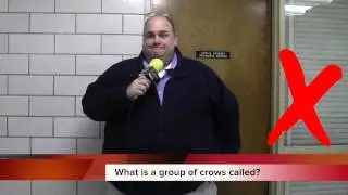 Central Islip High School Daily Video Announcements December 12th, 2014