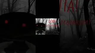 ОПА, САЛАМ МАЛЕКУМ) 