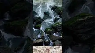 Black Sea