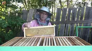 Первый магазин на семью Бакфаст.