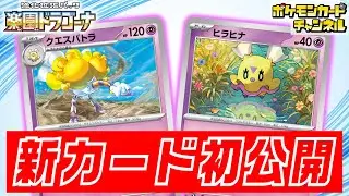 【初公開】相手を退化させられる！新登場のクエスパトラを紹介！【楽園ドラゴーナ/ポケカ/ポケモンカード】