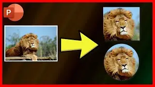 How to Crop image to a Shape in PowerPoint 2019 - Tutorial (2021)