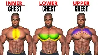 TOP 5 INNER - LOWER AND UPPER CHEST WORKOUT AT GYM /#motivation#duet