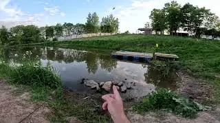 БЕШЕНЫЙ КЛЕВ КАРПА НА КУКУРУЗУ !