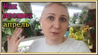 ВЛОГ: Неудачный поход к стоматологу