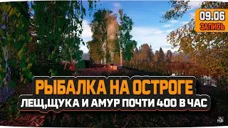 Озеро Старый Острог. Заработал на Леще, Щуке и Амуре почти 400 серебра за час — Русская Рыбалка 4