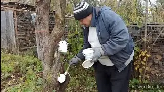 НАВОДИМ ПОРЯДКИ) ПОСАДИЛИ ЁЛОЧКИ😊