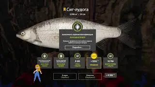 оз.Ладога трофейный Сиг - Лудога