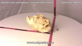 #835 Камень кенийский