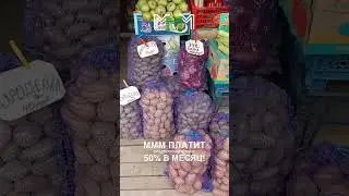 Привоз. Торговая палатка -15-А , тётя Надя .