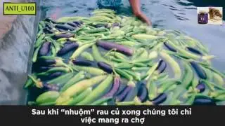 video Sự thật kinh hoàng đằng sau những mớ rau tươi rói khiến người tiêu dùng hoang mang tột độ