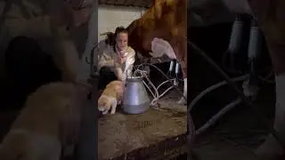 Аделину потянуло на кисленькое😂Что это значит?