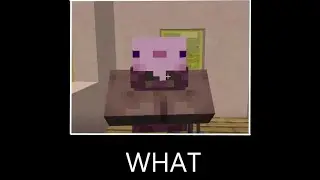 WHAT