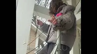 Елена Фролова. звон в День Благовещенья 7 апрелЯ 2024