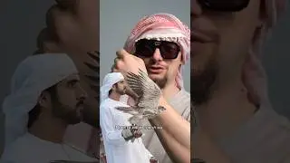 Стать шейхом быстро с минимум вложением. Конечно же купить часы L’Duchen с соколом #часы