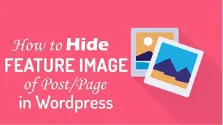 How to Hide Page/Post Featured Image on WordPress with 1 Click