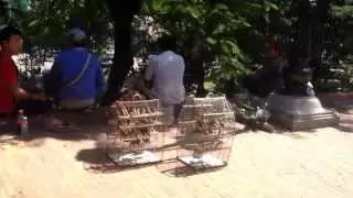 Цена свободы воробья в Камбодже