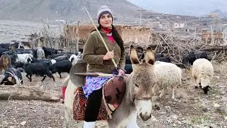 Village Lifestyle Iran: Amazing Cooking & Donkey Riding By A Girl