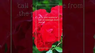 Your phone is about to light up. Get ready for that call or message from the one you love! 💬❤️#love