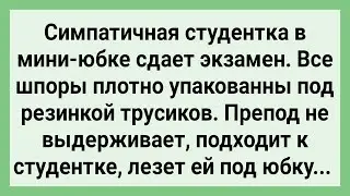 Как Препод у Студентки Экзамен Принимал! Сборник Свежих Смешных Жизненных Анекдотов!