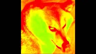 I Wouldn't Want to Be Like You   EARRAPE