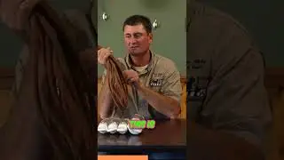 Important Dog Training Equipment - The Check Cord