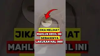 Jika Melihat Makhluk ini😱 Segera Lakukan Hal ini‼️