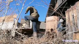 Вывозим ульи из омшаника🐝🐝🐝💛