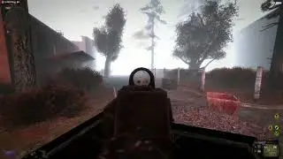 Пэс любит 