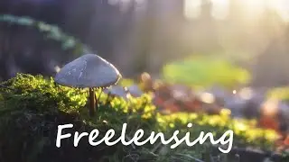 Freelensing  - podstawy