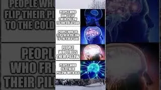 Brain meme #shorts #memes