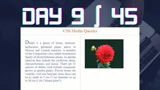 day9:media queries